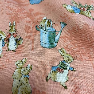 The tale of Peter Rabbit