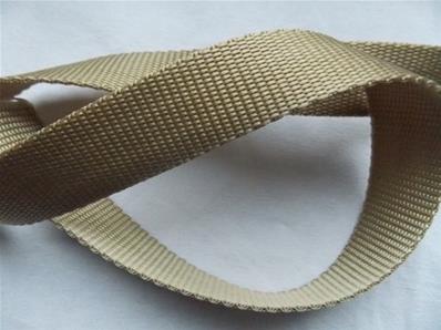 Thick polypropylene webbing / 2,5 cm wide