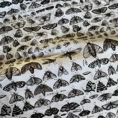 Collection Palette anthracite de Tim Holtz - mites