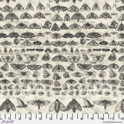 Collection Palette anthracite de Tim Holtz - mites