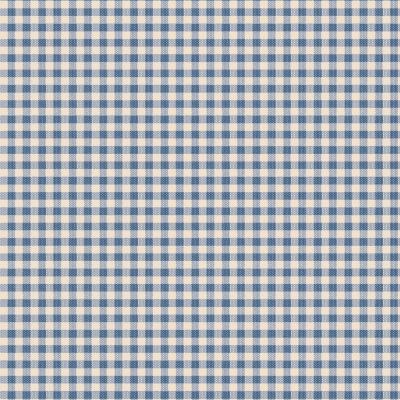 Tissu Tilda Creating Memories Summer woven gingham blue