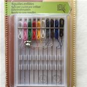 Assortiment d'aiguilles enfiles
